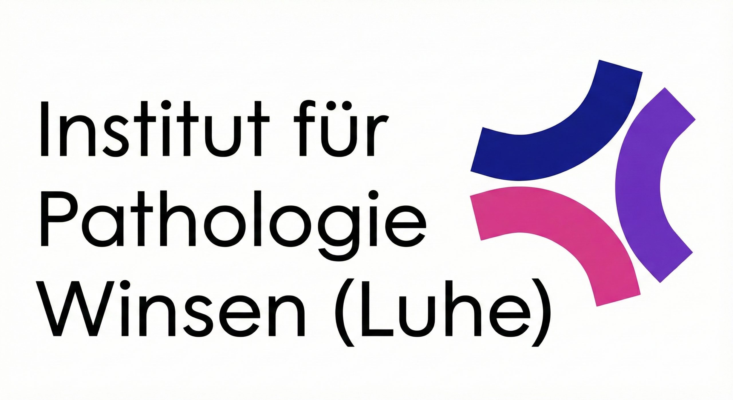 Logo Lang Institut für Pathologie Winsen (Luhe) auf weißem Hintergrund