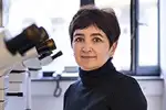 Dr. med. Fatima König – Fachärztin für Neuropathologie – Institut für Pathologie Nordhessen/Kassel
